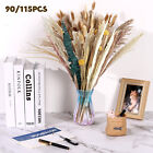 115/90x Dried Pampas Grass Set For Vase Natural Elegant Dried Dried Wheat Decor◬