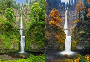 Postal Multnomah Falls OREGON - 3D y Movimiento Lenticular - Imagen 1 de 1