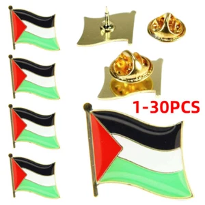 PALESTINE PALESTINIAN COUNTRY FLAG METAL PIN BADGE BROOCH Lot H6 - Picture 1 of 17