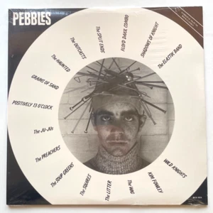PEBBLES ORIGINAL ARTIFACTS FROM THE FIRST PUNK ERA VOLUME 1 - BFD RECORDS LP NEW - Picture 1 of 4
