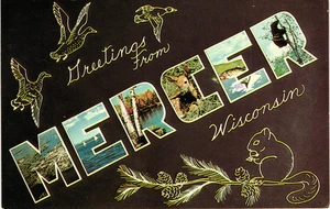 Greetings From Mercer Wisconsin Postcard 1981 - Picture 1 of 2
