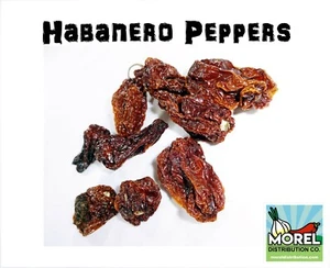 Dried Chili Habanero Pepper / WT: 1 OZ, 4 OZ, 8 OZ, 1 LB, 2 LBS, 5 LBS, 10 LBS - Picture 1 of 12