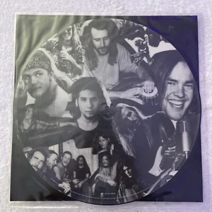 Blind Melon Picture Disc Tones Of Home No Rain 12CLPD 687A MINT - Picture 1 of 6