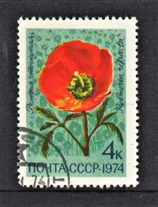 Used full gum " FLOWERS OF ALPINE MEADOS - ROEMERIA " Soviet Union 1974 - Picture 1 of 2