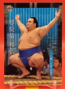 Tarjeta coleccionable Kotoshogiku Kazuhiro/luchador de sumo BBM TCG Japón japonés #48 - Imagen 1 de 10