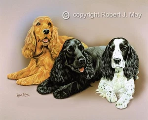 Signed Cocker Spaniel Print by Robert J. May - Picture 1 of 1