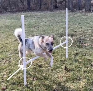 4 Agility Cross Bar Holders /Jump Cups Dog Agility Equipment for 3/4" PVC - Picture 1 of 3