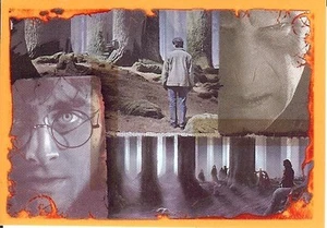 Carte Image Autocollant PANINI " HARRY POTTER Reliques 2011 " Numéro N° 182 - Imagen 1 de 1