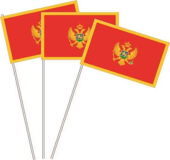 Papierfahnen Papierfähnchen Montenegro Flagge Fahne - Bild 1 von 1