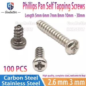 Tornillos autorroscantes de acero al carbono/acero inoxidable 100 x 2,6 mm 3 mm - Imagen 1 de 6