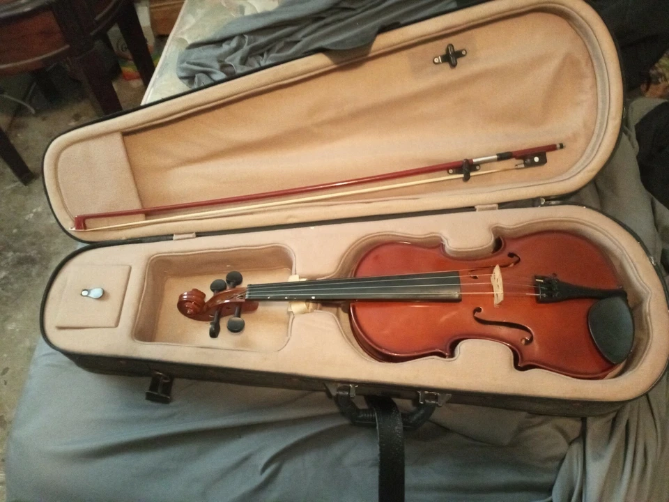 viola 4/4 Foto 1 de 4