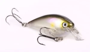 Strike King KVD 2.5 Silent Crankbaits (Clearwater Minnow) - Bild 1 von 2