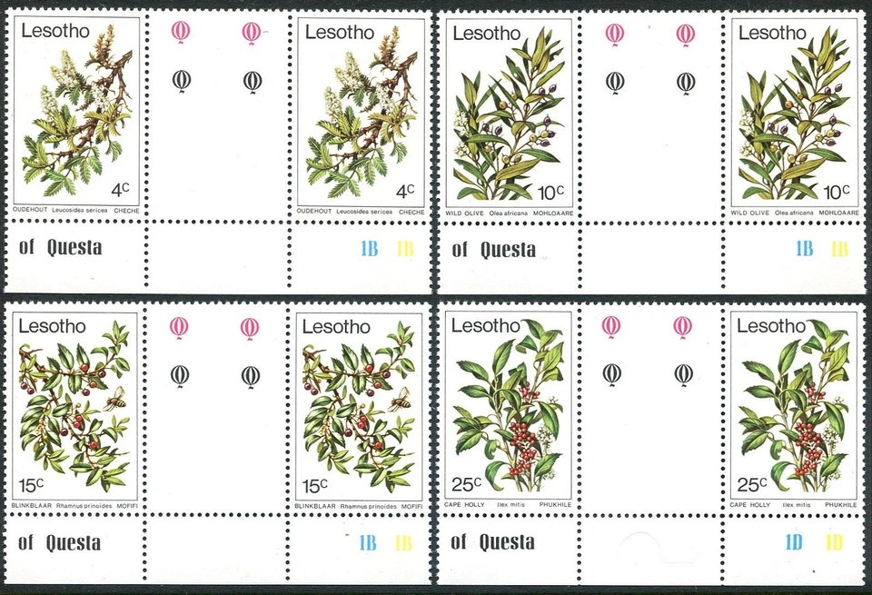 Canaleta Lesotho 266-269, MNH. Mi 266-269. Árboles 1979: Leucosedia Sericea, Oliva, Foto 1 de 1