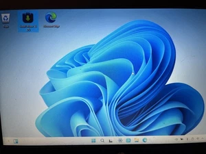 USB flash drive Windows Linux (Winux 11) 11.25.09 Noble LTS - 64 bit  - Picture 1 of 12