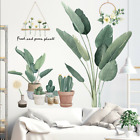 Removable Wall Stickers Tropical Green Plants Potted Cactus Cacti Hanging Flower
