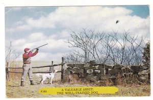 bird dog hunting well trained vintage postcard / Rembrandt Card - Picture 1 of 2