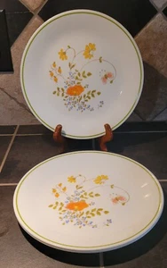 SET OF 3-CORELLE - SPRING MEADOW BOUQUET WILDFLOWER - 8 1/2" LUNCHEON PLATES - Picture 1 of 3