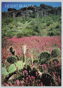 Postcard Desert Beauty - Spring Comes to the Desert - Prickly Pear Cactus - Picture 1 of 2