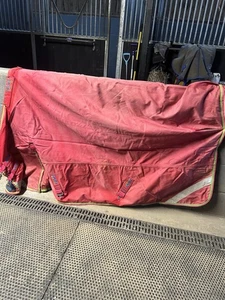 Alfombra Premier Equine 200 g de 6 pies” roja y verde - LIMPIA Y REIMPERMEABILIZADA - Imagen 1 de 10