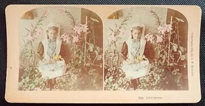 RARE Hand Coloured ANTIQUE Real Photo Kilburn Stereoview Lilly Queen - Picture 1 of 2