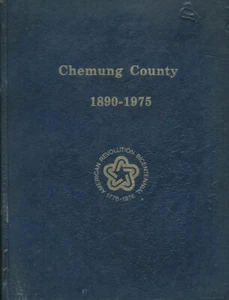 Chemung County, [NY] 1890-1975 - Picture 1 of 1