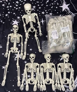 11 Skeletons, 16” Full Body with Movable Posable Joints, Spooky Halloween Decor - Picture 1 of 2
