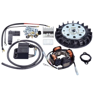 KIT ELEKTRONISCHE ZÜNDUNG 171.0556 POLINI PIAGGIO CIAO SI BOXER GRILLO BRAVO 50 - Bild 1 von 1
