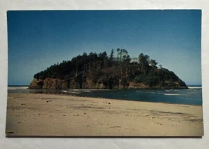 Proposal Rock, Neskowin, Oregon Postcard (P1) - Picture 1 of 2