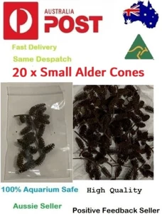 20 x Small Black Alder Cones for Dwarf Shrimp Discus Cherry Bee Shrimp - Picture 1 of 4