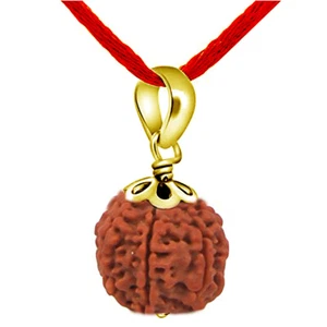 Seven Mukhi 7 Face Chakra Healing Nepail Gold Plated Rudraksha Pendants Rudraksh - Bild 1 von 3