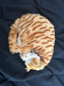 Perfect Petzzz Orange Tabby Katze schnurrt Atembewegung - Bild 1 von 6