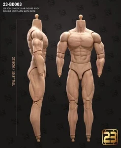 23Toys BD003 1/6 Muscular Male Action Figure Body for 12" Hot Toy Phicen Head - Picture 1 of 1