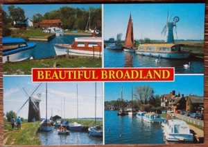 Salmon postcard - BEAUTIFUL BROADLAND, NORFOLK BROADS (The Broads National Park) - Picture 1 of 2