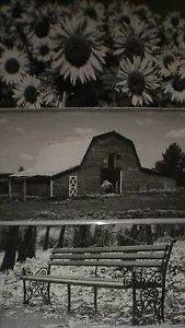 2024-2025 Sunflowers, Barn, Windmill, Bench Two Year Pocket Planners - Set of 4 - Picture 1 of 3