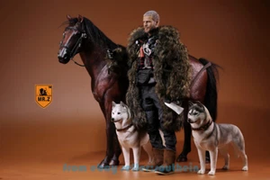 1/6 Red Dead Redemption 2 Warm-Blooded Horse Hannover Soldier Scene  - Picture 1 of 27