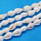 10 brins perles coquille de trompette blanche mini coquille de mer perles d'espacement lâche artisanat 6 ~ 11 mm