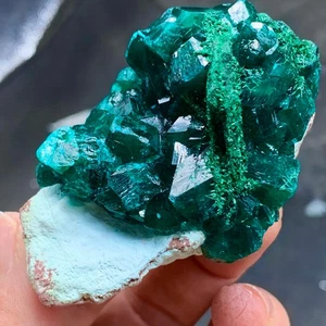 84G Natural green dioptase emerandine gemstone cluster mineral specimen - Picture 1 of 23