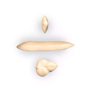 Bocchetta Decorazione Torte Acciaio Inox 8x5 h 52 mm BX1605 - Silikomart - Foto 1 di 5