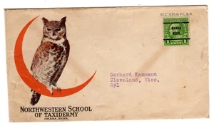 Omaha NE Pre-cancel Norwestern School Taxidermy Illustrated Owl - Picture 1 of 3