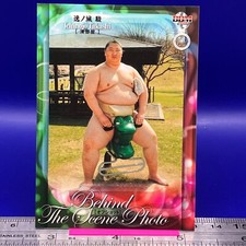 Ichinojo Takashi Sumo Wrestler Trading Card BBM 2016 Rikishi TCG Japanese #42