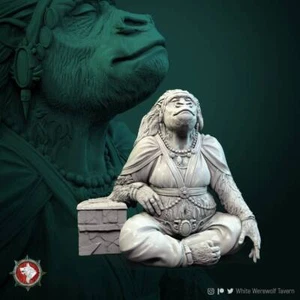 Monkey Kings Wife | TTRPG Miniatur | White Werewolf Tavern | unbemalt, unplate - Bild 1 von 10