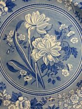 THE SPODE BLUE ROOM COLLECTION BOTANICAL FIRST INTRODUCED C.1820 ENGLAND S3429-T