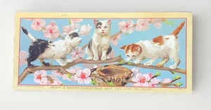 Vintage Christmas Victorian Trade greeting card cats kittens nest Hildesheimer - Picture 1 of 6