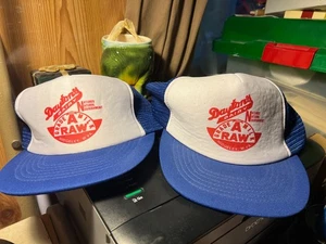 LOTE DE 2 GORRAS DE BÉISBOL DE COLECCIÓN DAYTON'S RIDGELEY WV GRADO A LECHE CRUDA - Imagen 1 de 6