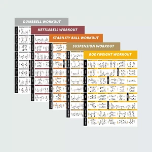 AU Dumbbell Workout Chart Poster Training Exercise Print Perfect To Build Muscle - Picture 1 of 29