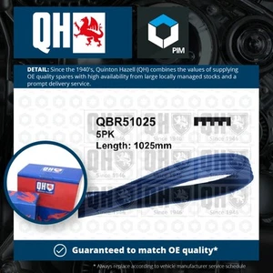 5 Rib Multi V Drive Belt fits SAAB 9-3 YS3F 2.0 02 to 15 QH 12634321 24466975 - Picture 1 of 2
