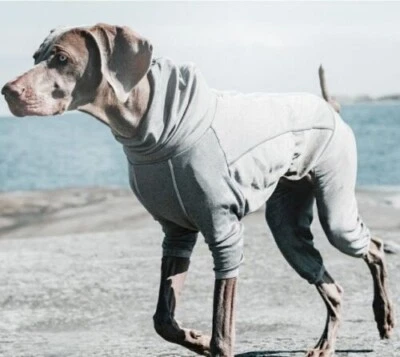 Aquecedor corporal Hurtta traje de recuperação muscular corporal para cães terapia carbono 14 - 16 M médio - Imagem 1 de 4