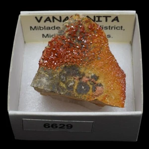 VANADINITA xx (Mibladen Mining Dist., Midelt, Marruecos) #6629 / Vanadinite - Picture 1 of 1