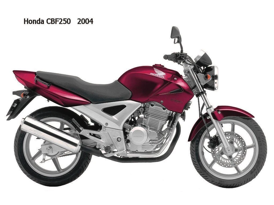 MANUAL DE TALLER WORKSHOP MANUAL HONDA CBF 250 CBX TWISTER ENGLISH ESPAÑOL - Imagen 1 de 1