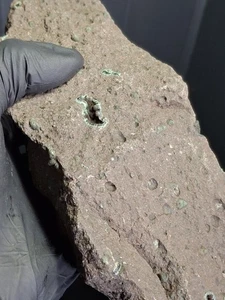 Pink Poppies Michigan Greenstone Isle Royale Chlorastrolite Matrix Basalt Raw 5l - Picture 1 of 15